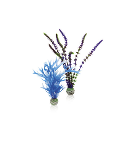 biOrb střední rostlina set modro - fialová
