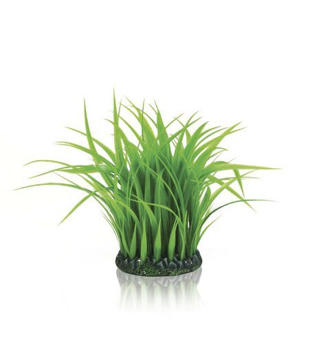 biorb-stredni-trs-travy-zeleny.jpg